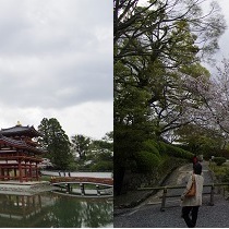 京都探訪