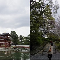 京都探訪