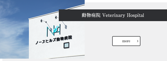 動物病院 Veterinary Hospital